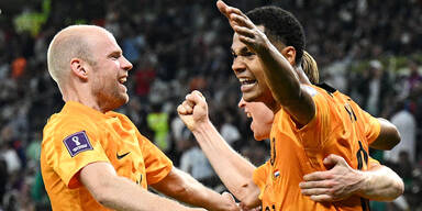 Niederlande jubel gakpo