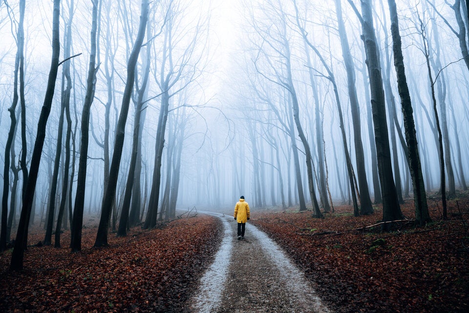 Winterschlaf: Darum sind wir in der kalten Jahreszeit so müde