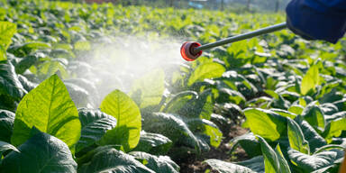 Grüne in NÖ wollen Datenbank für Pestizide