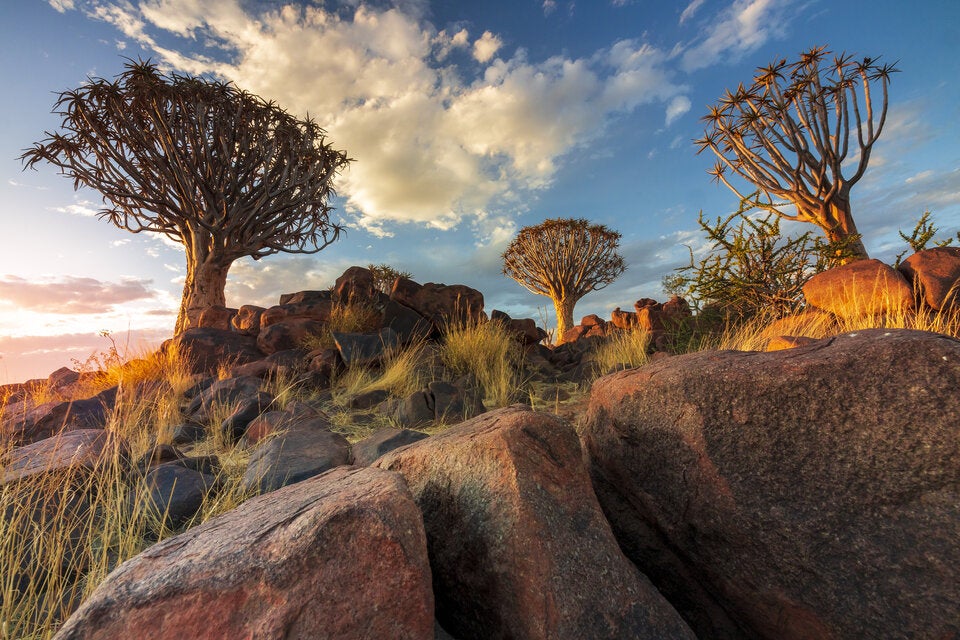 Die schönsten Reiseziele für einen Urlaub im Juli