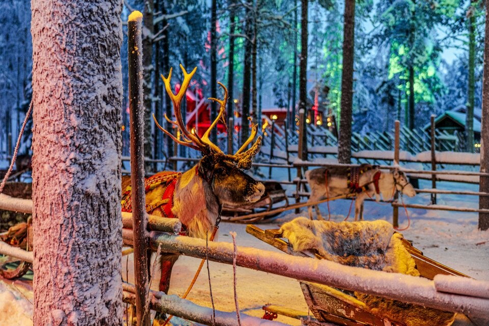 Magisches Lappland: Nordlichter, Weihnachtsmann & Winterabenteuer in Rovaniemi