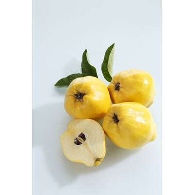 Gesundes im September