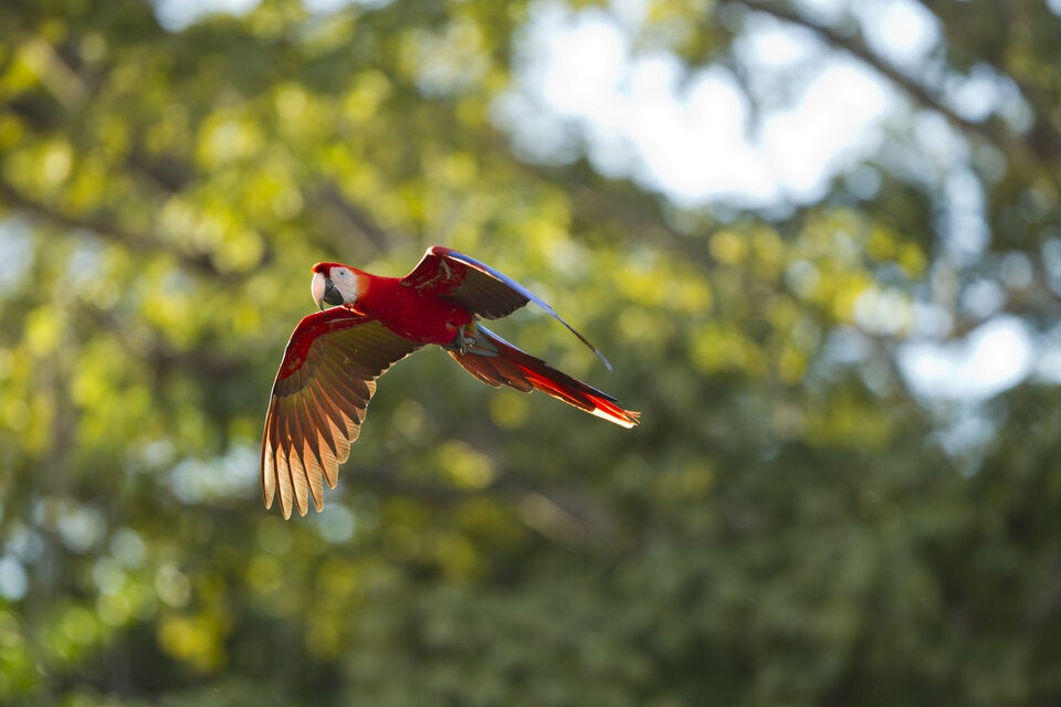 Laut Forbes: DIESE Orte werden 2026 zum absoluten Hit!