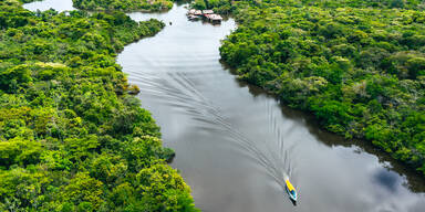 Amazonas Regenwald, Peru