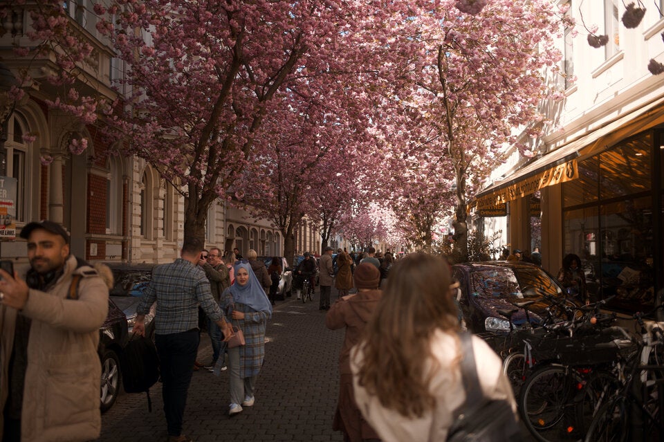 Kirschenblüten in Europa: 7 traumhafte Orte, die Sie unbedingt sehen müssen