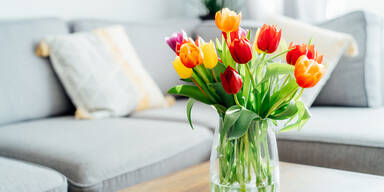 Nie wieder h&auml;ngende K&ouml;pfe: Mit diesem genialen Trick halten Ihre Tulpen (fast) ewig