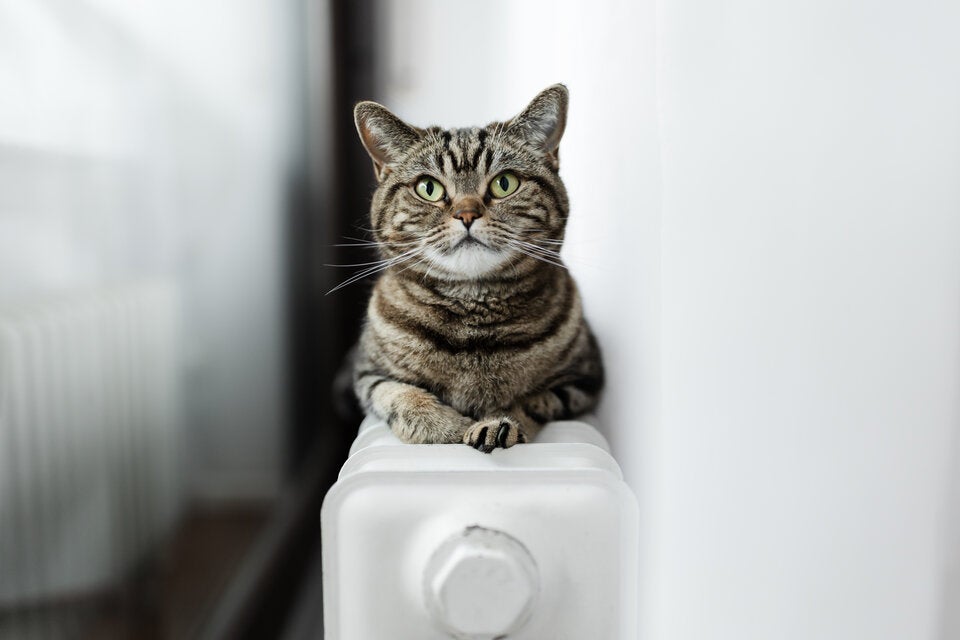 Ab welcher Temperatur sollte man die Heizung aufdrehen?