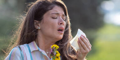 Gr&auml;ser und Pollen in der Luft: Start der Saisonalen Allergien
