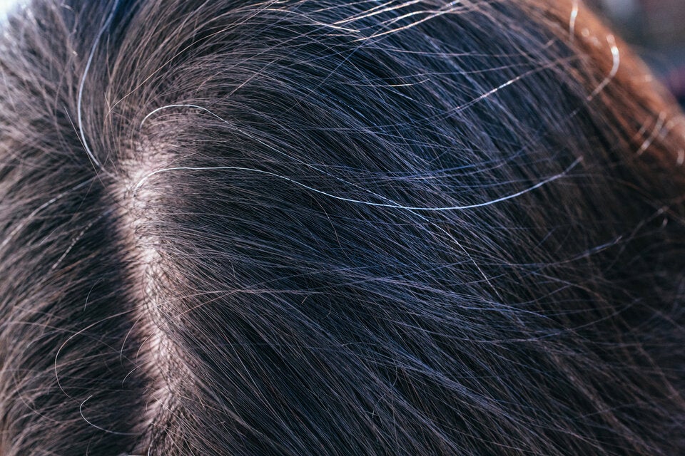 Mythos im Check: Wachsen wirklich mehr graue Haare nach, wenn man sie sich ausreißt?