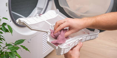 Sommer-Hack: Deshalb gehören Flusen aus dem Trockner in den Garten