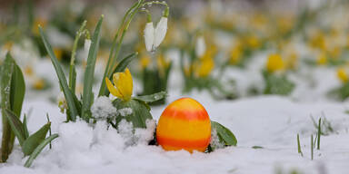 Frostern-Frust: Kommt jetzt das ersehnte Fr&uuml;hlings-Comeback?