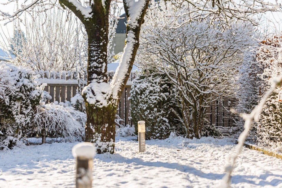Geheimtipp: So retten Sie eingelaufene Pullover mit Schnee