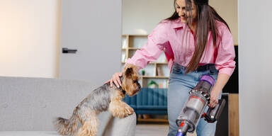Tierhaare in der Wohnung? Diese 3 Waschsauger sagen ihnen den Kampf an