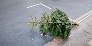 Weihnachtsbaum entsorgen: Vermeiden Sie diese Fehler!