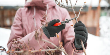 Diese wichtigen Gartenarbeiten darf man im Februar nicht verschlafen