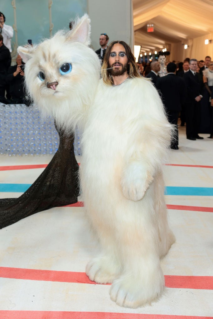 Jared Leto versteckte sich unter einem Katzenkostüm