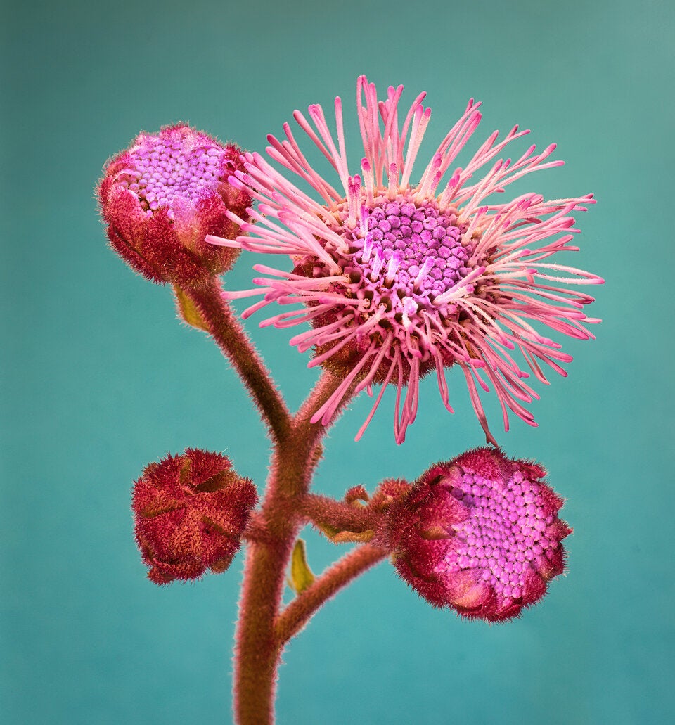 Die Barbie-Trends im großen Health-Check