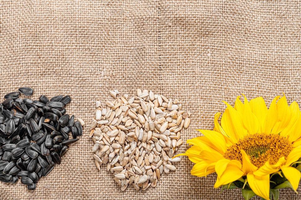 Kakao-Kollaps: Deshalb gibt es bei dieser Manufaktur zu Ostern Fake-Schokolade