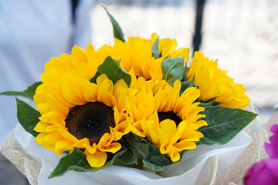 Geheime Liebesbotschaften: Die Bedeutung hinter Valentinstagsblumen