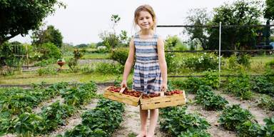 Die Erdbeeren sind reif – raus auf‘s Feld
