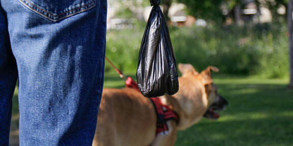 Strafen-Hammer in Wien: Tschick und Hundekot liegen lassen wird teurer