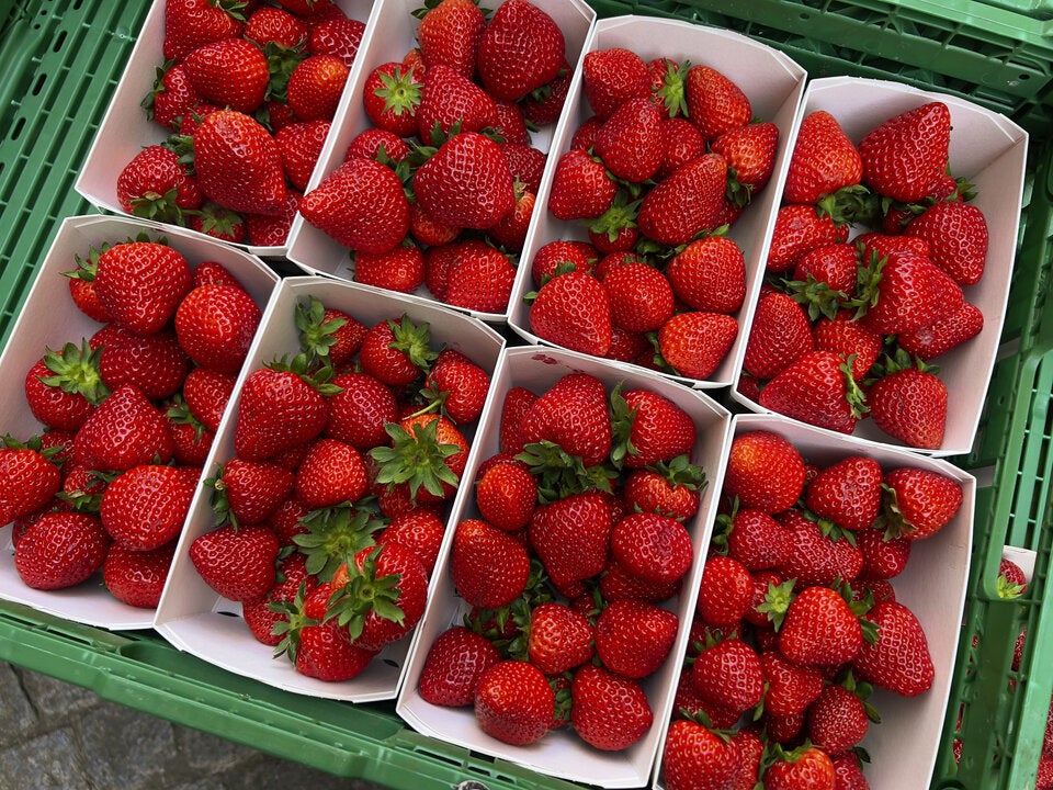 Vorsicht, Frühlingsfalle! Deshalb sollten Sie jetzt noch keine Erdbeeren kaufen