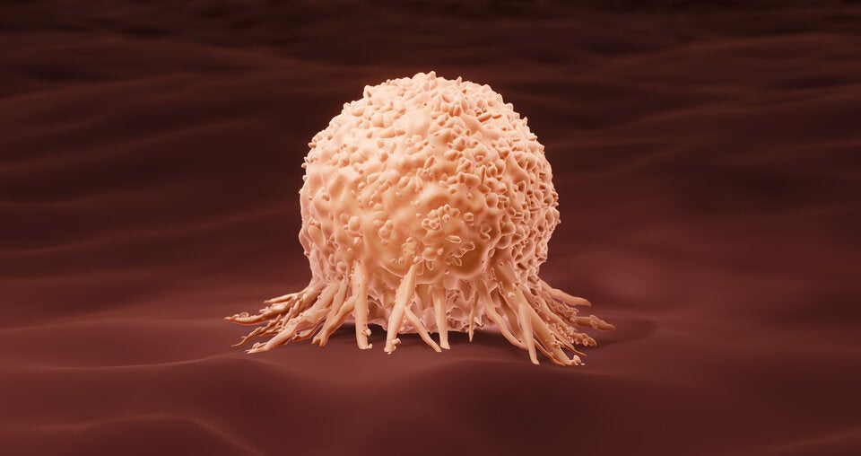 Impfung revolutioniert Krebstherapie