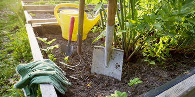 Im Juni: Diese Gartenarbeiten dürfen Sie auf keinen Fall verpassen!
