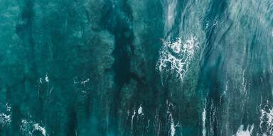 Ein Meilenstein für die Meere