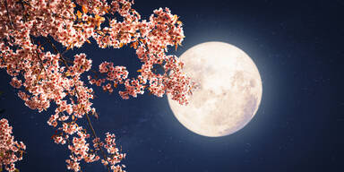 Ihr w&ouml;chentlicher Mondkalender: 14.04. - 20.04.