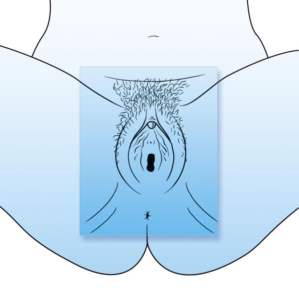 Vagina