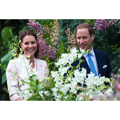 Herzogin Kate & Prinz William: Die schönsten Bilder aus 5 Jahren Ehe