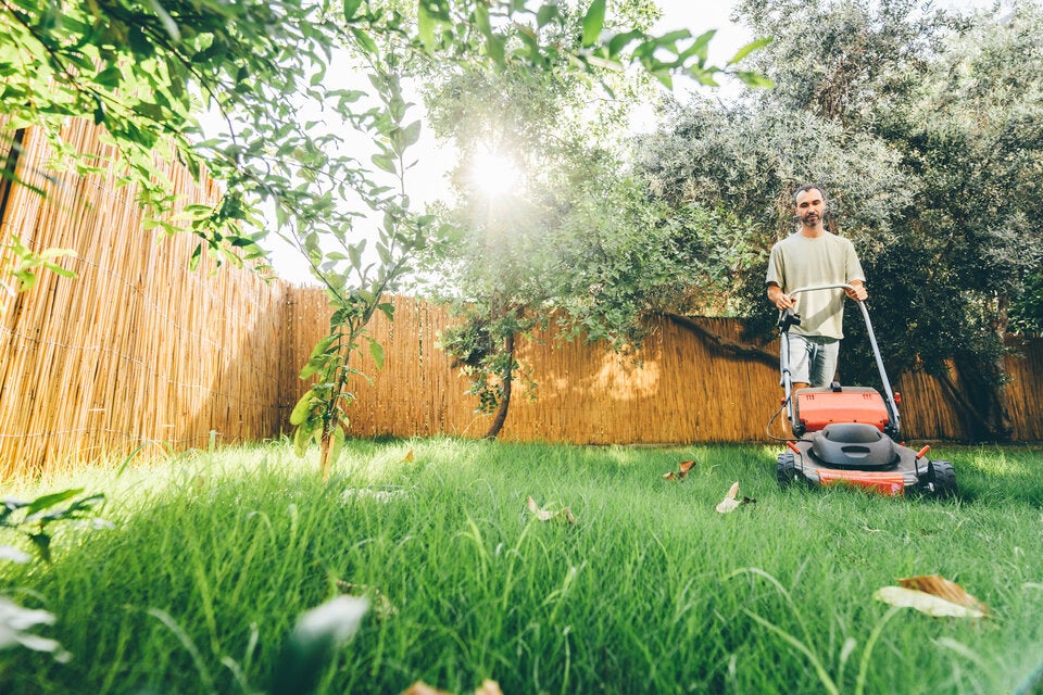 Gartenarbeit im Juni: So machen Sie den Garten sommerfit
