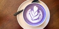 Ube Latte: Hier gibt es das Trendgetränk in Wien
