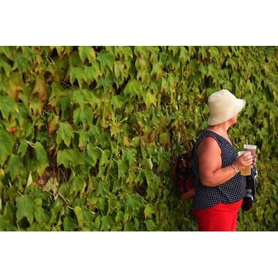 Tag 14: Carlos Alcaraz präsentiert stolz die Trophäe.