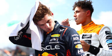 Max Verstappen Lando Norris