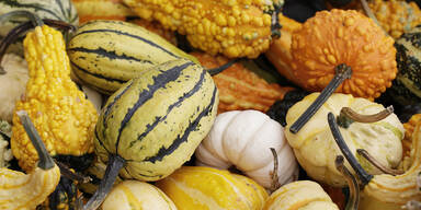 Abnehmwunder im Herbst: Mit diesem Kürbis purzeln die Kilos