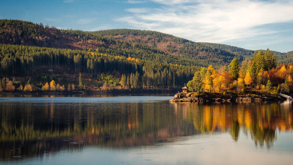Pollensaison: Die besten Reiseziele für Allergiker