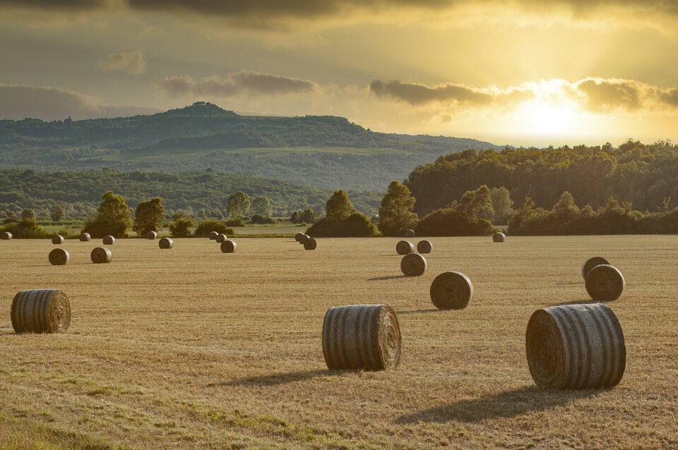 Natur-Auszeit in Istrien.