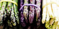 Spargel-Check: Grün, Weiß oder Violett - Welcher ist wirklich der gesündeste?