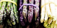 Spargel-Check: Welche Sorte ist die gesündeste?