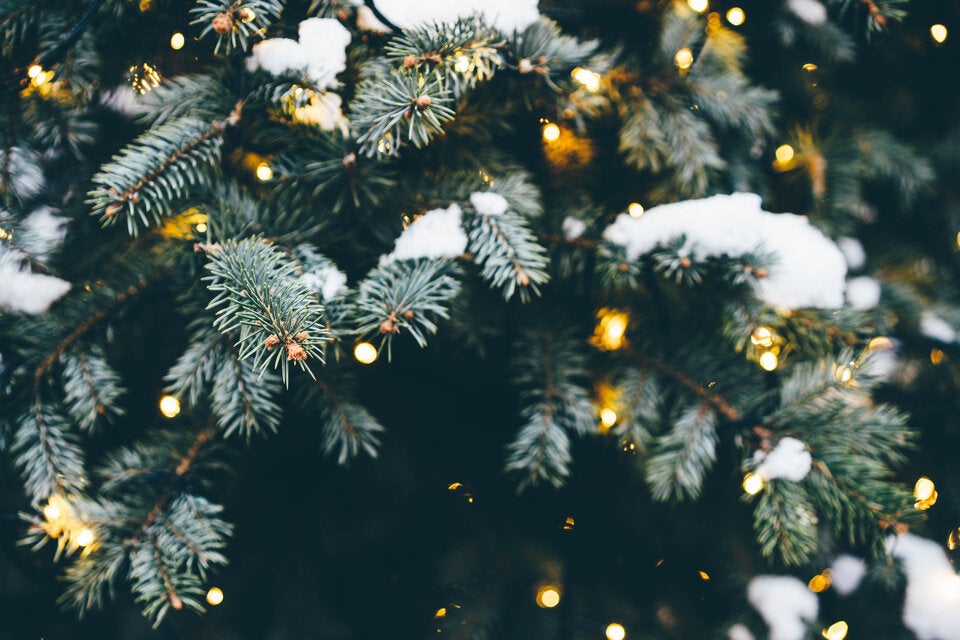 Laut Bauernregel: Das bedeuten weiße Weihnachten für das kommende Jahr