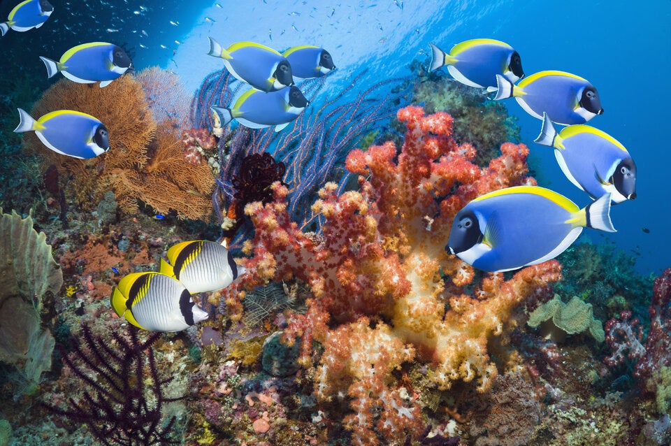 Die 25 eindrucksvollsten Reiseerlebnisse der Welt – laut National Geographic