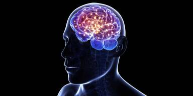 Gehirnaktivit&auml;t