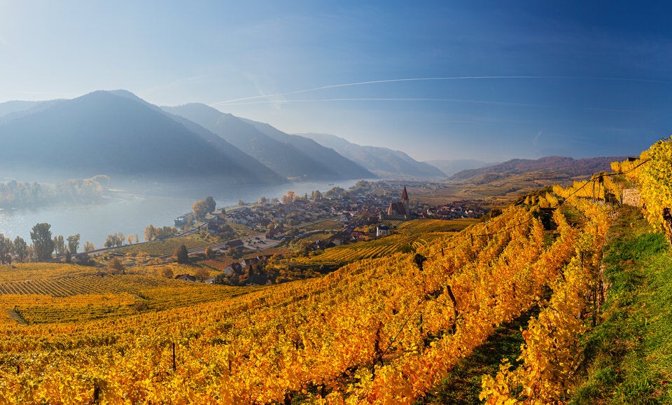 SALON 2025 kürt Österreichs beste Weine
