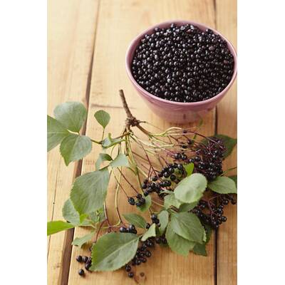 Gesundes im September