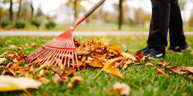 Diese Gartenarbeiten sollten Sie noch vor dem Winter erledigen