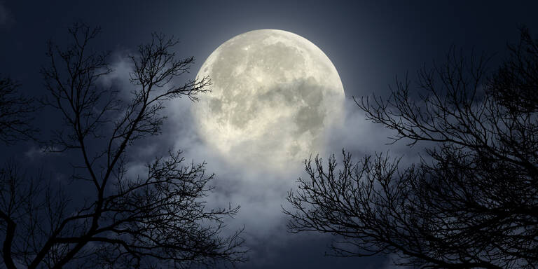 Das sollten Sie in der Woche vom 3. November bis 9. November laut Mondkalender tun