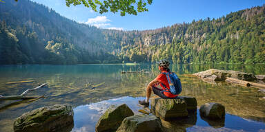 Bayrischer Wald: Das Top-Frühlingsziel