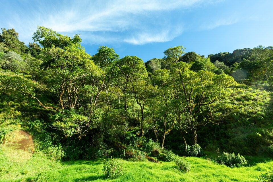 Costa Rica: Geheimtipps im Land der Naturwunder